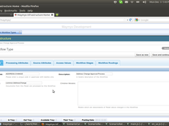 Maintain Workflow Type