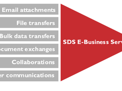 SDS E-Business Server Screenshot 1