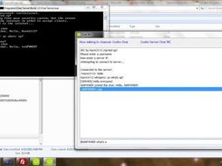 The server and client in action!