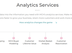 MCH Strategic Data Screenshot 1