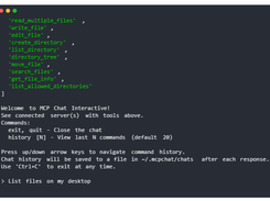 MCP Chat Screenshot 1