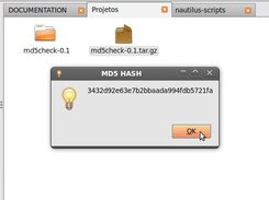 3) Tela de exibição do MD5 HASH do arquivo selecionado