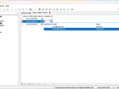 View/Edit Data - FK Values selection