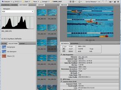 The Histogram Panel