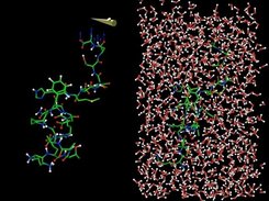 A simple MDDriver test with a small peptide.