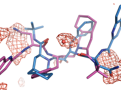 Ligand and energy grid maps