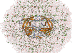 Protein in solvent mixture