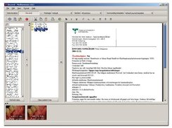 mGen in use in the MedSummary application