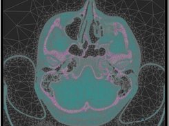 Result of vector image segmentation (MDSTk extension).