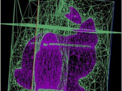 Vector segmentation of volumetric data (MDSTk extensions).