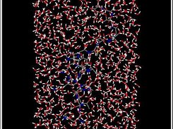 Figure 7 - Gromacs simulation of 19mer peptide in Water.  