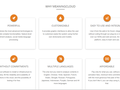 MeaningCloud Screenshot 2