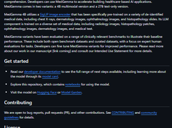MedGemma Screenshot 1