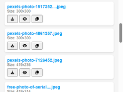 Extracting media page