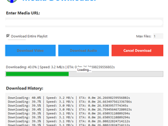 Media Downloader