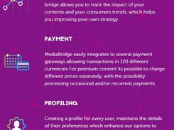 MediaBridge Screenshot 1
