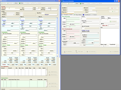 Concurrent Multi-section Access