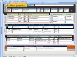 Demographics Data Entry Form