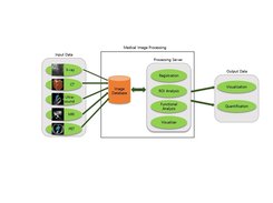 Overall Process