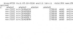 Details on a0 with disk firmware revs and serial numbers