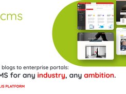 Blog, News, enterprise portals and any custom content delivery you can think of