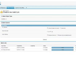 Clean Suite for CRM - Batch Processing