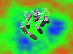 Membrane-Protein Thickness