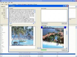 Examples editor panel