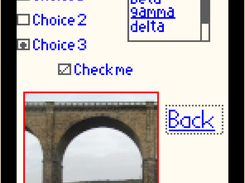 Sample menu showing checkbox, radiobutton, list, button and gfx with colors