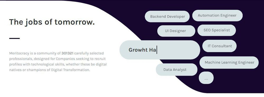 Meritocracy Screenshot 1