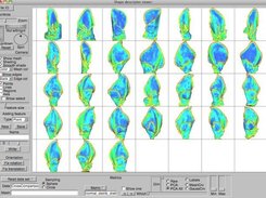 Shape descriptor on family of meshes