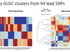 GLGC summary clusters