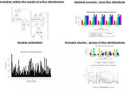 Metaboflux available powerful flux analysis