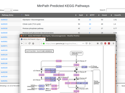 MetaErg Screenshot 6