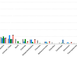 Class-level taxonomy classification for the SimHC dataset using FOCUS, PhymnBL, RAIphy, and FOCUS (mean)