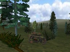 Can't see the forest for all the trees