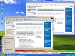 A remote Window desktop in a local Window desktop