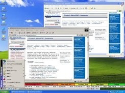 A remote Window desktop in a local Window desktop