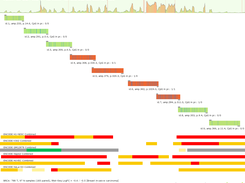 example of CTDSPL primers report