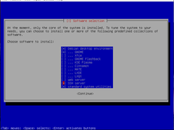 Debian predefined Desktop software collection; add ssh-server if your system will be remote. 