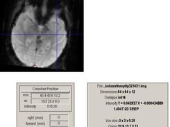 interactive view of the source data or preprocessed or extra