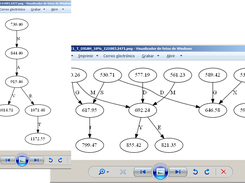 MGFVisor Transitions Output Graph