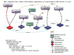 Neural Regeneration Research 9:6-7, 2014