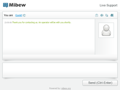 Default style, chat window