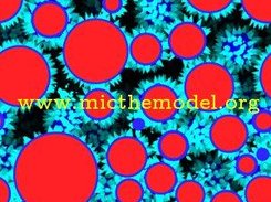 Simulation of conical growth on spherical particles