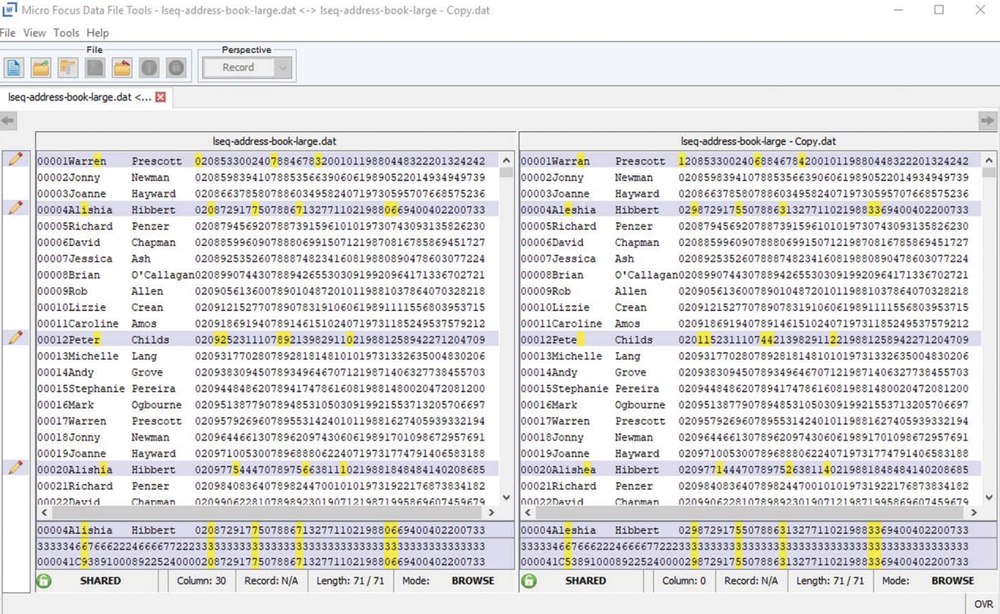 Micro Focus Enterprise Test Server Screenshot 1