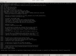 pre-alpha server window