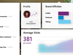 Microsoft Customer Experience Platform Screenshot 1
