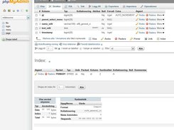 Screenshot of the database from phpMyAdmin
