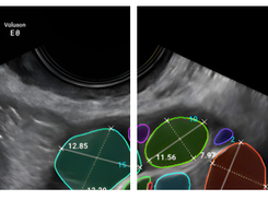 MIM Fertility Screenshot 1